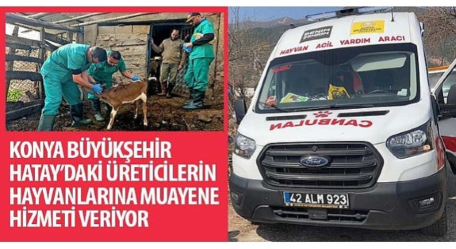 Konya Büyükşehir Hatay'daki Üreticilerin Hayvanlarına Muayene Hizmeti Veriyor