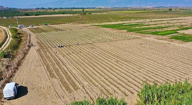 Didim'de Kış Sebzelerinin Ekimine Başlandı