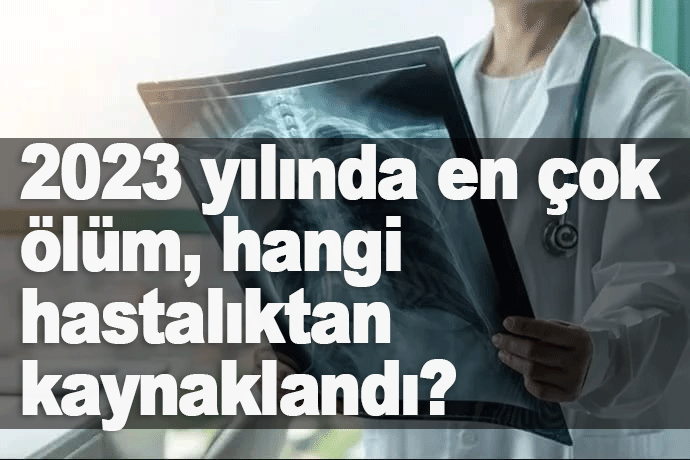 2023 yılında en çok ölüm, hangi hastalıktan kaynaklandı?