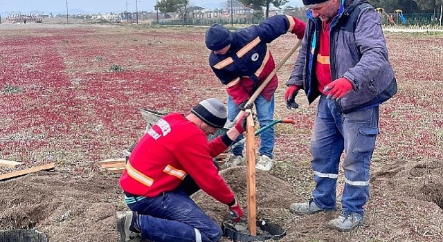 Kum Zambakları Koruma Altında