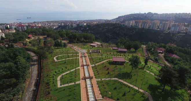 Hayden Trabzon Botanik’i tanımaya ?