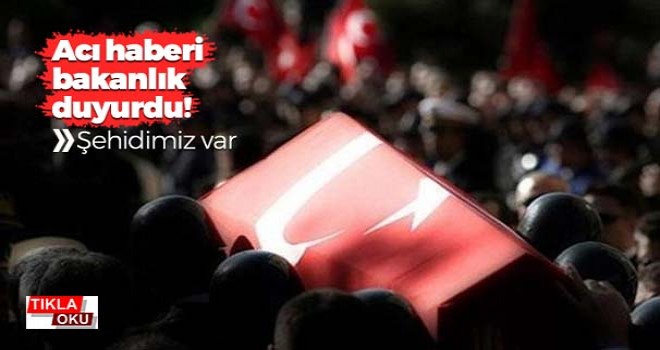 Bakanlık duyurdu! Şehit ve yaralı var