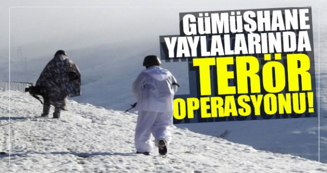 Gümüşhane yaylalarında terör operasyonu!