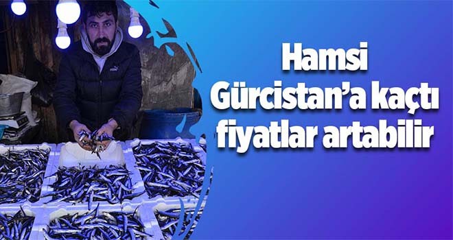 Hamsi Gürcistan'a kaçtı fiyatlar artabilir