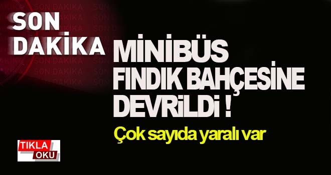 Minibüs fındık bahçesine devrildi!