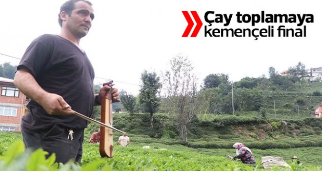 Çay toplamaya kemençeli final