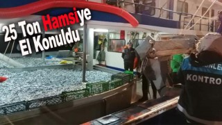 25 Ton Hamsiye El Konuldu