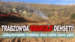 Fındıkçı Drakula’ya Yenildi