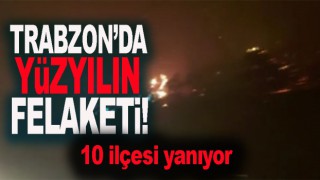 Trabzon'un 10 ayrı ilçesinde yangın!