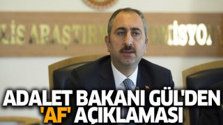 Bakan Gül'den af ve ceza indirimi açıklaması