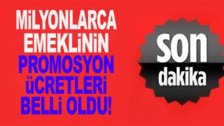 Emeklilere yeni dönemde verilecek promosyon ücretleri belli oldu