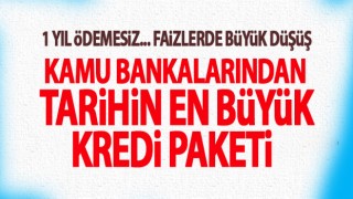 Kamu bankaları 4 farklı kredi paketi açıkladı