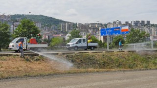 Trabzon Büyülşehir vektörle mücadeleye devam ediyor