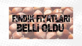 2020 Fındık fiyatları belli oldu!