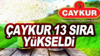 ÇAYKUR, sanayi'de atak!