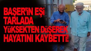 Ayağı kayan kadın uçuruma yuvarlandı! Hayatını kaybetti