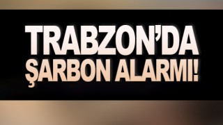 Trabzon'da Şarbon Alarmı!