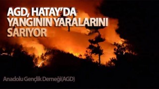 AGD, Hatay'da Yangının Yaralarını Sarıyor!