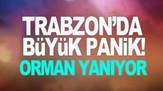 Trabzon'da yangın!