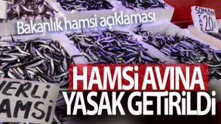 Bakanlıktan 'hamsi' açıklaması!