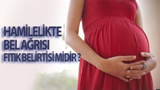 Hamilelikte Bel Ağrısı Fıtık Belirtisi midir?