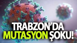 Trabzon'da mutasyonlu vakalar kararı