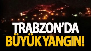 Trabzon’da Orman Yangını!