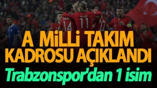 A Milli Takım Aday Kadrosu Açıklandı