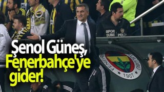 Şenol Güneş, Fenerbahçe'ye gider!