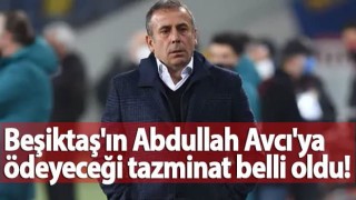 Beşiktaş'ın Avcı'ya ödeyeceği tazminat belli oldu!