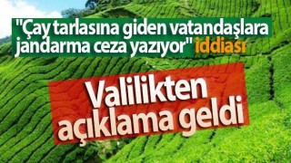 "Çay tarlasına giden vatandaşlara jandarma ceza yazıyor" iddiası