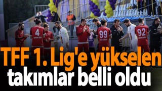 TFF 1. Lig'e yükselen iki ekip belli oldu!