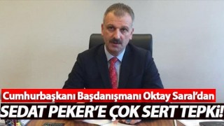 Cumhurbaşkanı Başdanışmanı Oktay Saral'dan Sedat Peker'e sert tepki