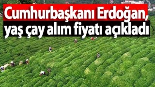 Cumhurbaşkanı Erdoğan, yaş çay alım fiyatI açıkladı