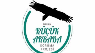 Vaillant’ın Küçük Akbabaları Koruma Projesi altıncı yılında farkındalık ve biyoçeşitlilik çalışmaları ile devam ediyor