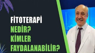 Fitoterapi Nedir?