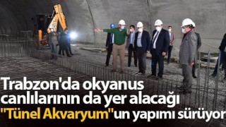 Okyanus canlıları Tünel Akvaryum’da görücüye çıkacak!