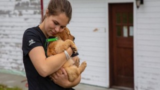 Yukon Veterineri Yeni Sezonuyla National Geographic WILD Ekranlarında