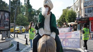 Nasrettin Hoca ve eşeği dereye maya çaldı