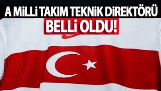 A Milli Takım Teknik Direktörü Belli Oldu