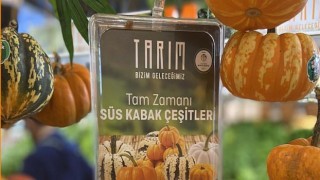 Migros, “Meyve Ve Sebze Yılı” Kampanyasının Destekçisi