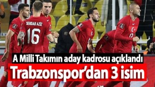 A Milli Takım'ın Cebelitarık ve Karadağ maçları aday kadrosu açıklandı! .