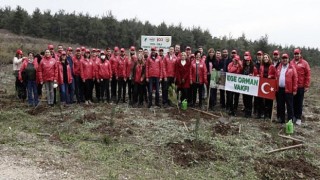 Coca-Cola Hatıra Ormanları’nda 50 Bin Fidan Yeşerecek