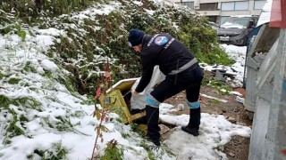 Trabzon Büyükşehir sahipsiz canları unutmadı