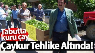 Çaykur Tehlike Altında!