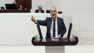 CHP’li Bakan’ın “kesilen palmiye ağaçları” önergesine yanıt geldi