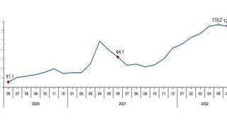 Sanayi, inşaat, ticaret ve hizmet sektörleri toplamında ciro endeksi (2015=100), 2022 yılı Haziran ayında yıllık yüzde 129,8 arttı.