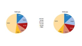 TÜİK: Yurt dışından Türkiye'ye 340 bin 845 kişi göç etti