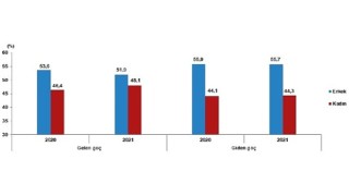 TÜİK: Yurt dışından Türkiye'ye 739 bin 364 kişi göç etti