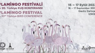 Türkiye'nin ilk Flamingo Festivali İzmir'de Gerçekleşiyor.